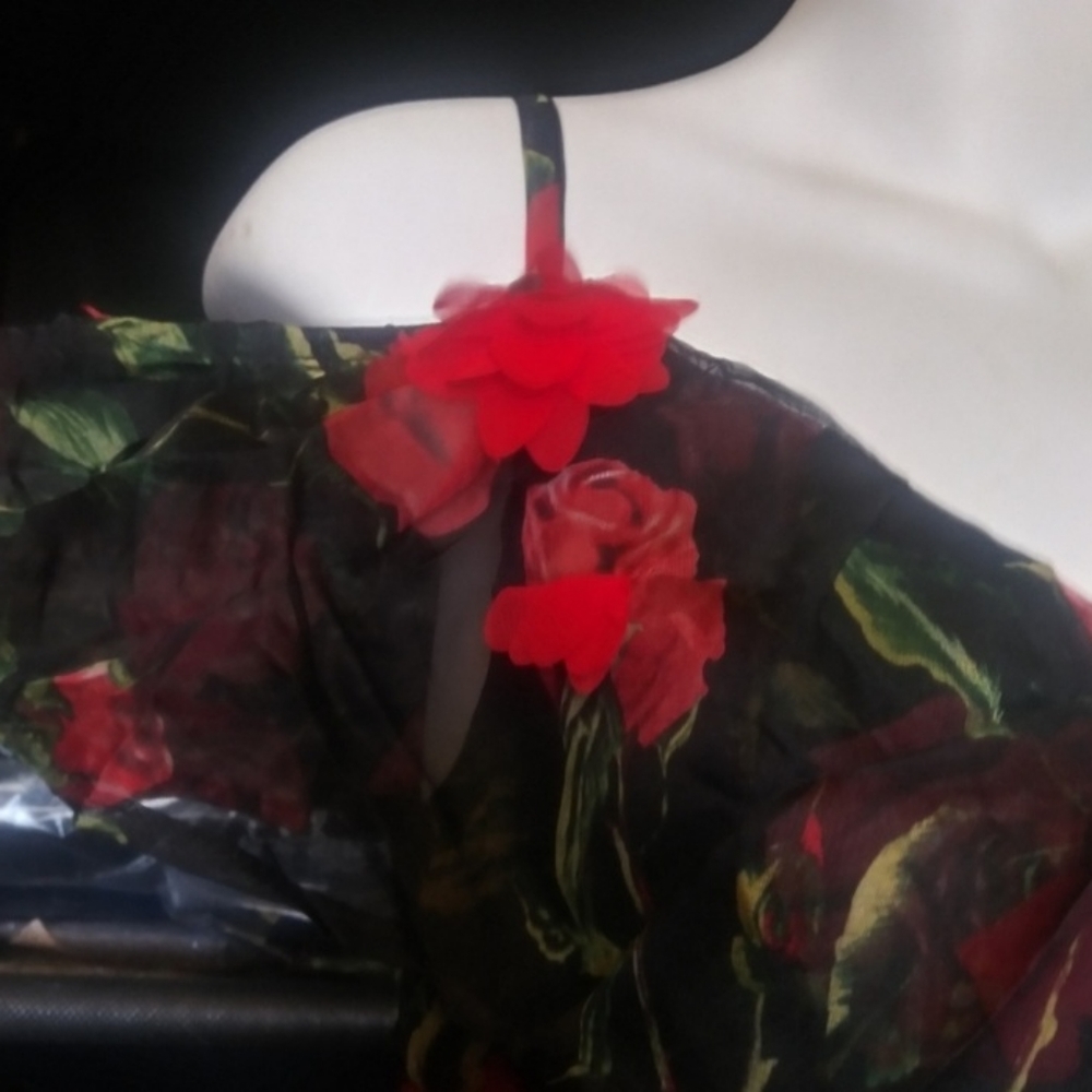 Delicate RED ROSE APPLIQUÉ MIDI - Picture 7 of 7